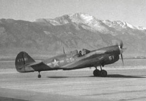 Peterson_P-40N.jpg