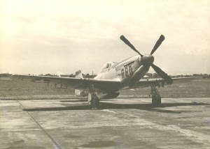 Waycross_P-51_No2.jpg